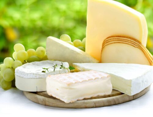 Les protéines comme ingrédients naturels : un atout à jouer sur le marché du fromage